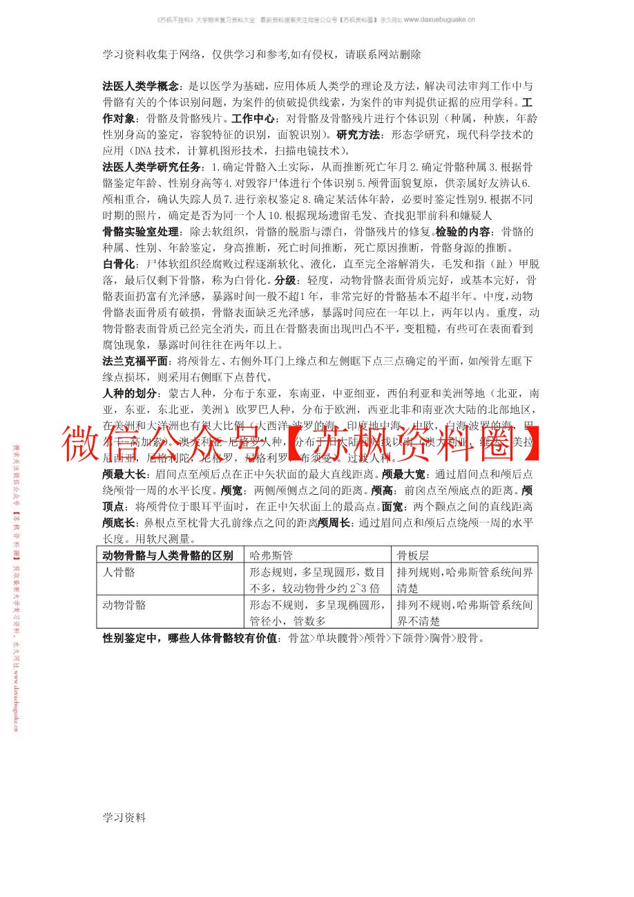 法医人类学